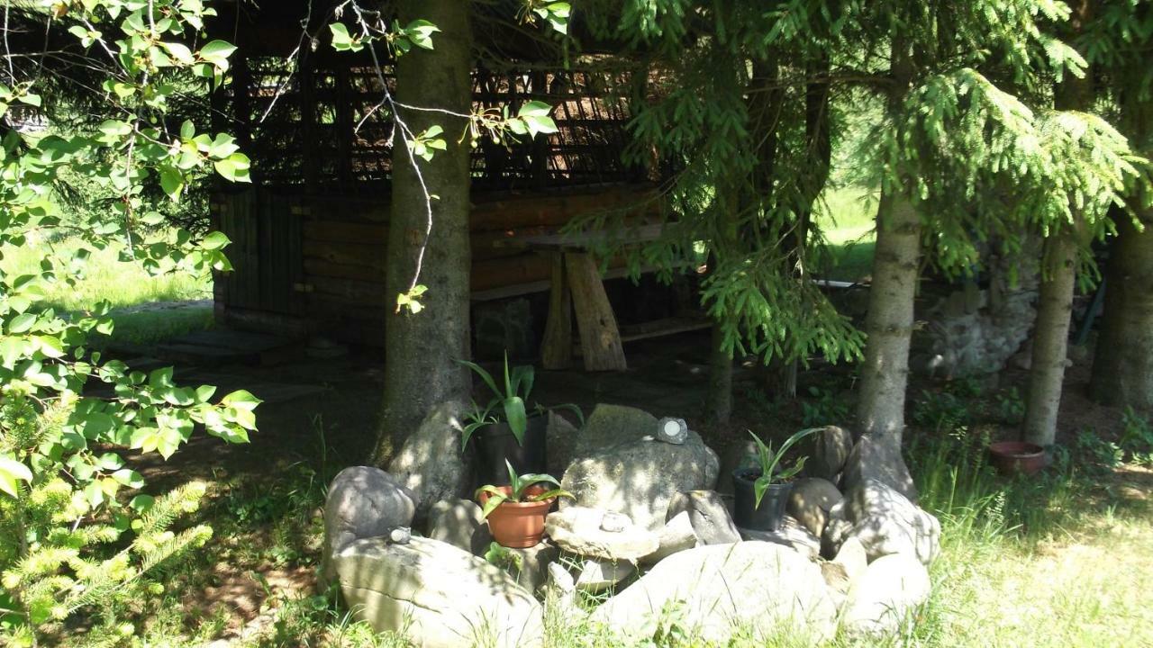 Apartamenty Lejowka Chocholow Buitenkant foto